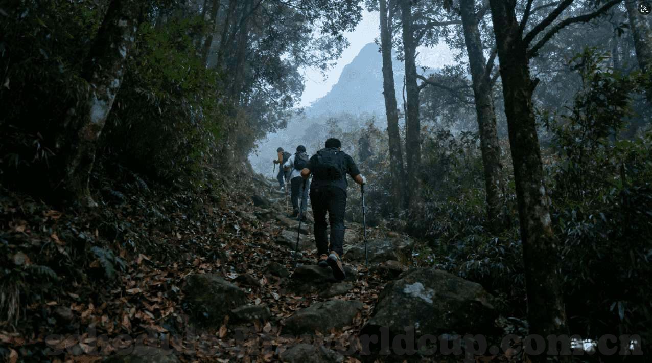 澳门赌场风水赢钱攻略-澳门赌场风水赢钱攻略，掌握幸运之钥